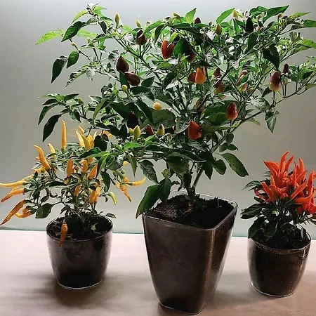 Spicy In Art Nouveau District, Culture Trip Apartment *