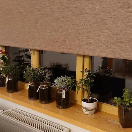 Spicy In Art Nouveau District, Culture Trip * Riga